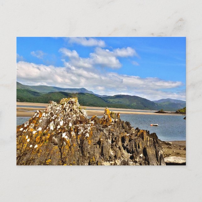 TIDAL RIVER POSTCARD (Front)