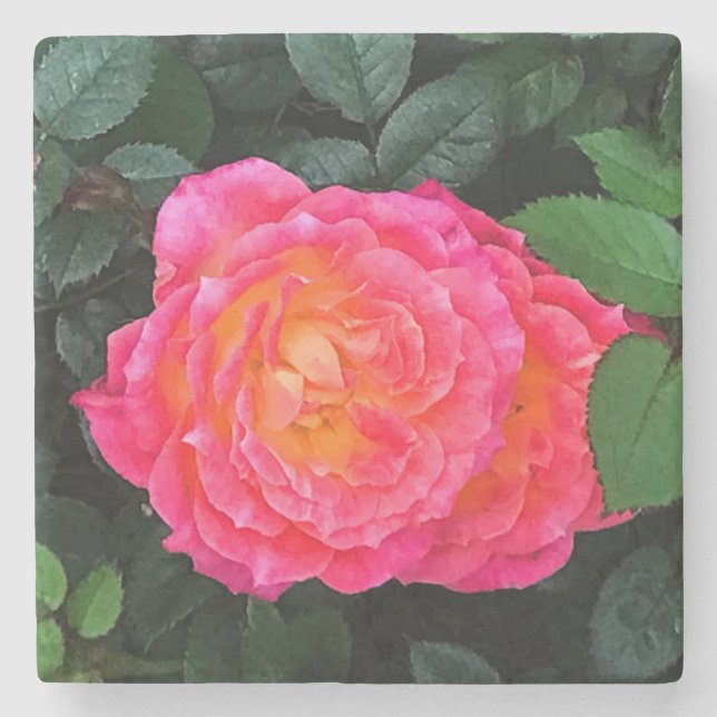 Tiddly Winks Rose #1 Coaster  (Front)