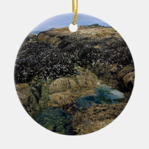 Tide Pools at Bob Creek, OR Ceramic Ornament