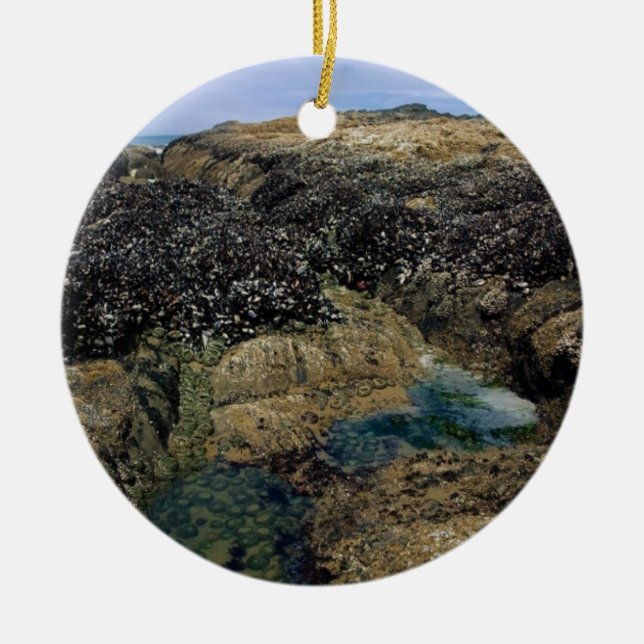 Tide Pools at Bob Creek, OR Ceramic Ornament (Front)