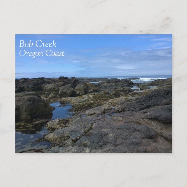 Tide Pools at Bob Creek, OR Postcard (Front)