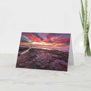 Tide Pools in La Jolla, CA Card