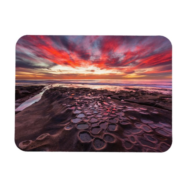 Tide Pools in La Jolla, CA Magnet (Horizontal)