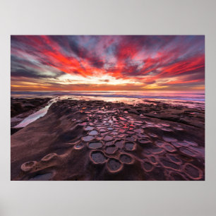 Tide Pools in La Jolla, CA Poster