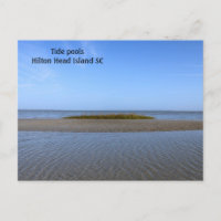 Tide Pools South Carolina
