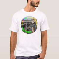 Tide Pools