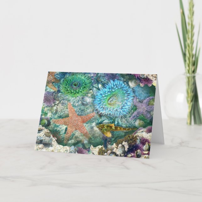 Tidepool Reflections Greeting Card (Front)