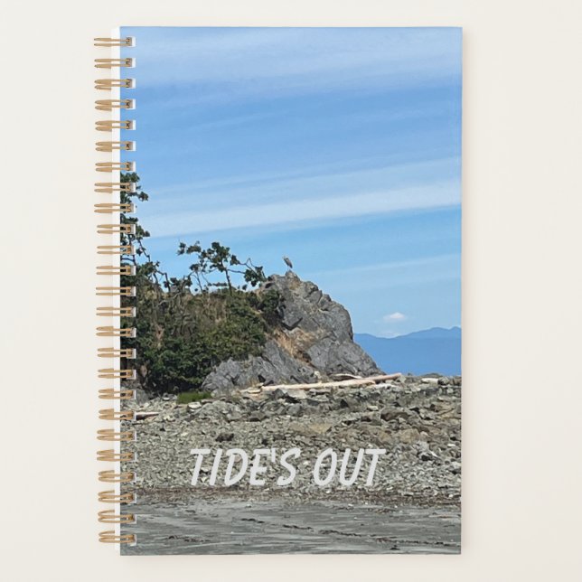 Tide's Out Planner (Devant)