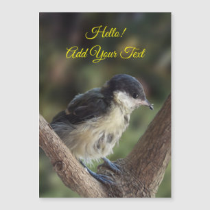 Tidi mon oiseau le Parus carte magnétique majeure
