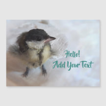 Tidi mon oiseau le Parus carte magnétique majeure