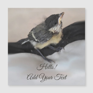 Tidi mon oiseau le Parus carte magnétique majeure