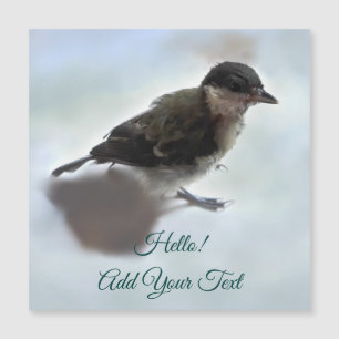 Tidi mon oiseau le Parus carte magnétique majeure