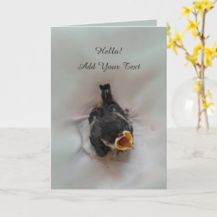Tidi my Bird the Parus Major Card