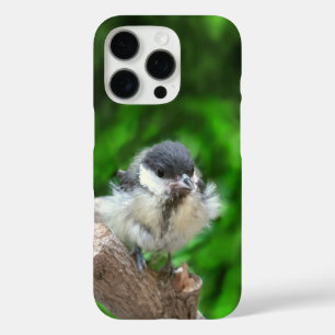 Tidi my Bird the Parus Major iPhone 16 Pro Case