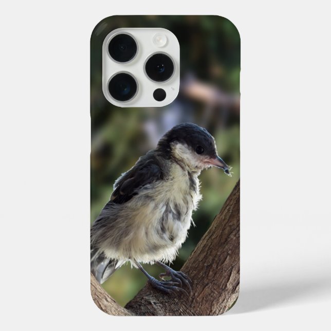 Tidi my Bird the Parus Major Case-Mate iPhone Case (Back)