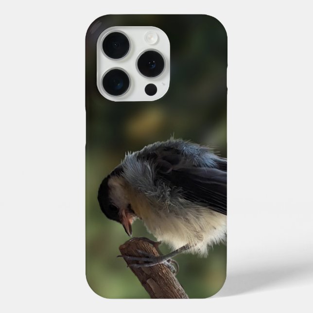 Tidi my Bird the Parus Major Case-Mate iPhone Case (Back)