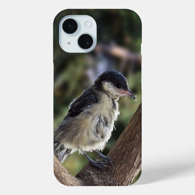 Tidi my Bird the Parus Major Case-Mate iPhone Case (Back)