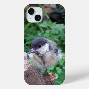 Tidi my Bird the Parus Major iPhone 15 Mini Case