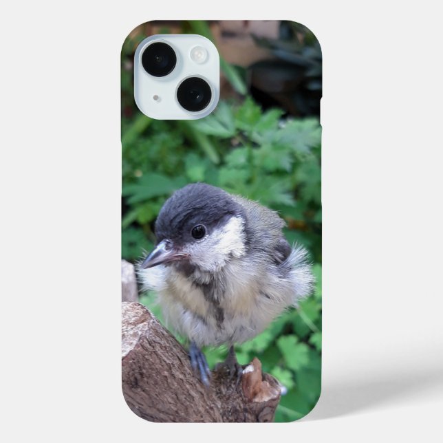 Tidi my Bird the Parus Major Case-Mate iPhone Case (Back)
