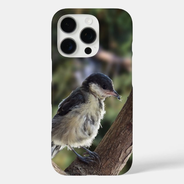Tidi my Bird the Parus Major Case-Mate iPhone Case (Back)