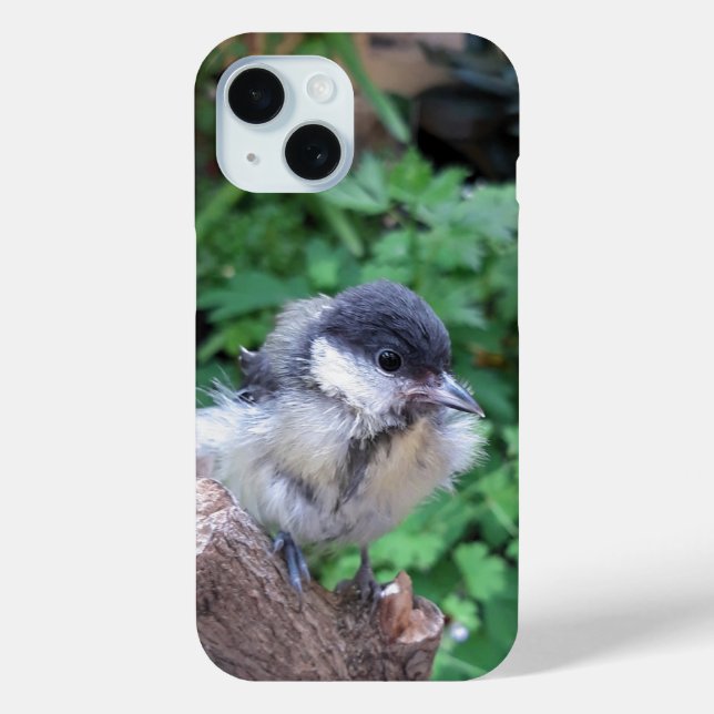 Tidi my Bird the Parus Major Case-Mate iPhone Case (Back)