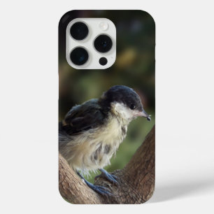 Tidi my Bird the Parus Major iPhone 15 Pro Case