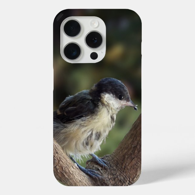 Tidi my Bird the Parus Major Case-Mate iPhone Case (Back)