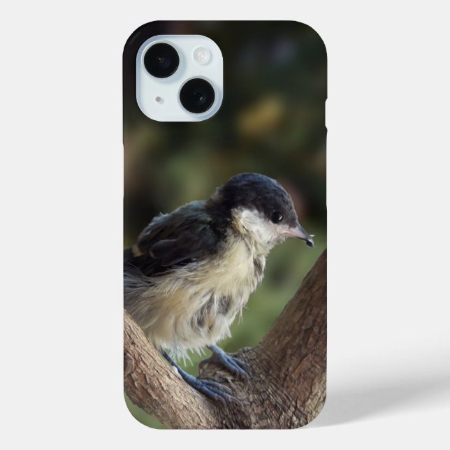 Tidi my Bird the Parus Major Case-Mate iPhone Case (Back)