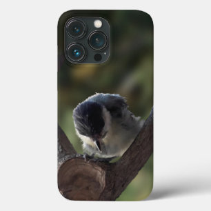 Tidi my Bird the Parus Major iPhone 13 Pro Case