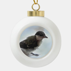 Tidi my Bird the Parus Major Ceramic Ball Christmas Ornament