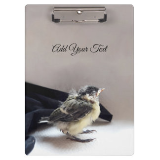 Tidi my Bird the Parus Major Clipboard