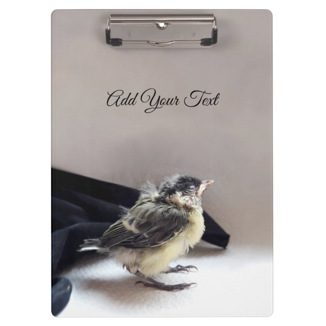 Tidi my Bird the Parus Major Clipboard (Front)