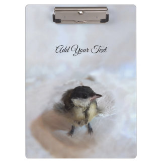 Tidi my Bird the Parus Major Clipboard