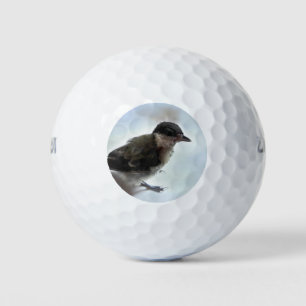 Tidi my Bird the Parus Major Golf Balls
