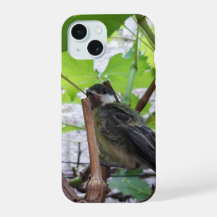 Tidi my Bird the Parus Major iPhone 15 Case