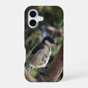 Tidi my Bird the Parus Major iPhone 16 Case