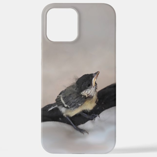Tidi my Bird the Parus Major iPhone Case (Back)