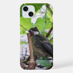 Tidi my Bird the Parus Major iPhone 15 Plus Case