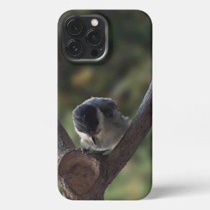 Tidi my Bird the Parus Major iPhone 13 Pro Max Case