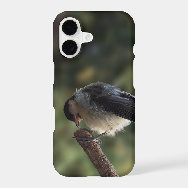Tidi my Bird the Parus Major iPhone Case (Back)
