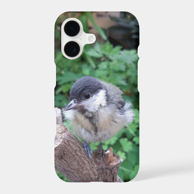 Tidi my Bird the Parus Major iPhone Case (Back)
