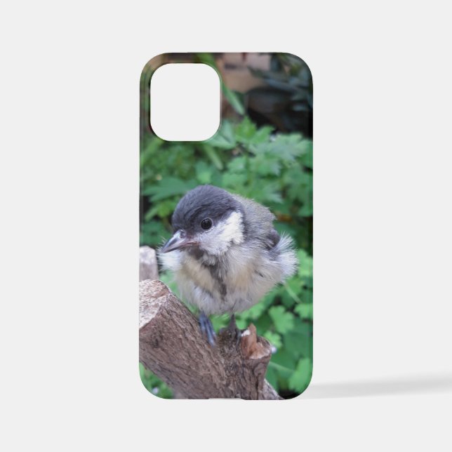 Tidi my Bird the Parus Major iPhone Case (Back)