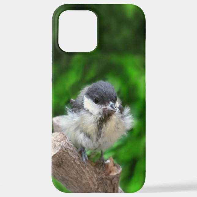 Tidi my Bird the Parus Major iPhone Case (Back)