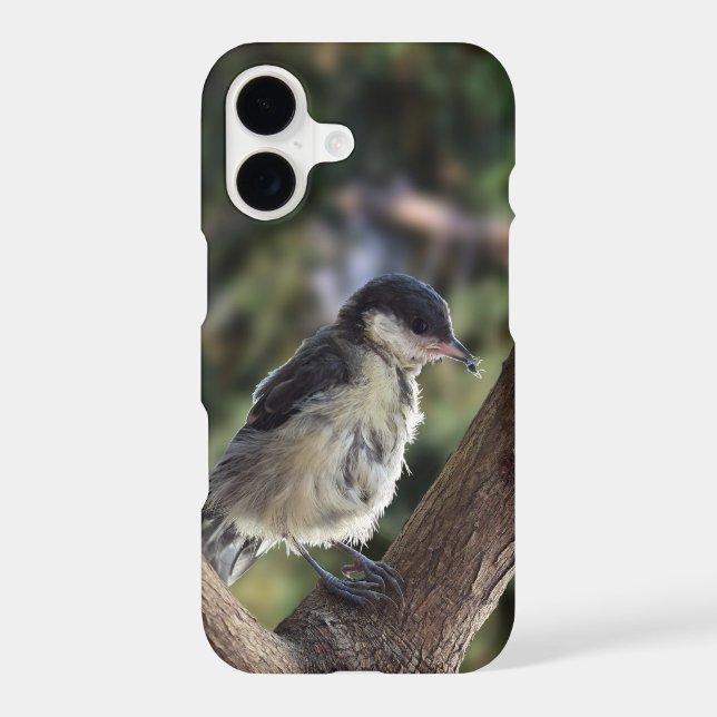 Tidi my Bird the Parus Major iPhone Case (Back)