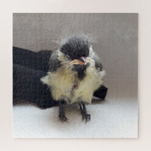 Tidi my Bird the Parus Major Jigsaw Puzzle