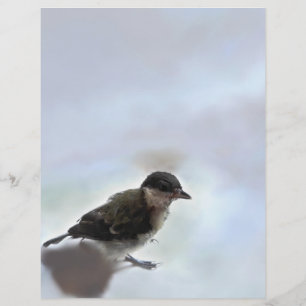 Tidi my Bird the Parus Major Letterhead