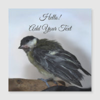 Tidi my Bird the Parus Major Magnetic Card