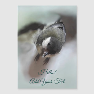 Tidi my Bird the Parus Major Magnetic Card