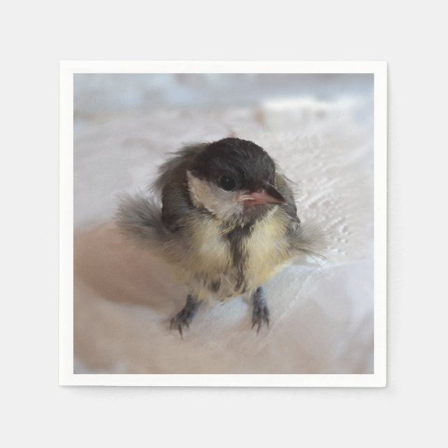 Tidi my Bird the Parus Major Napkin (Front)