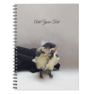 Tidi my Bird the Parus Major Notebook